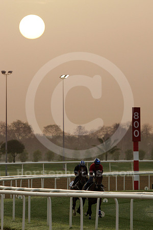 nadalsheba_sunrise06_fs