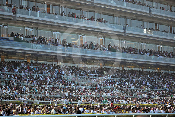 meydan_grandstand03_fs