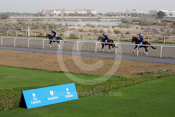 godolphin85_fs