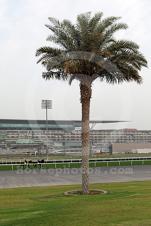 meydan_grandstand73_fs