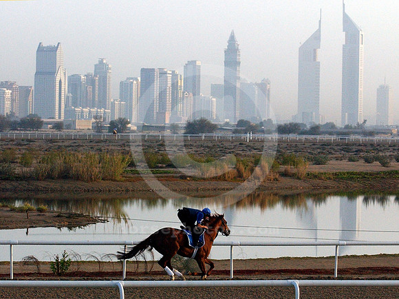 dubai_training02_mjm