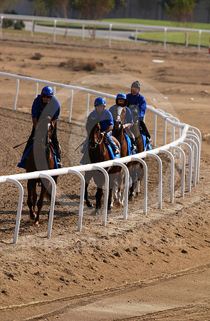 godolphin_workout01_mjm