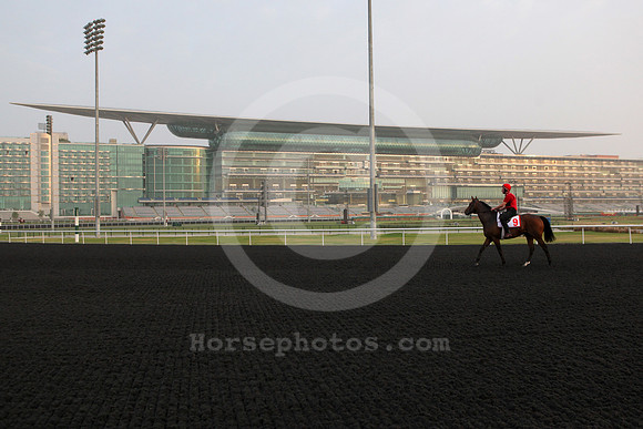 meydan_grandstand71_fs
