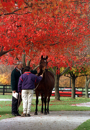 keenelandfall_389