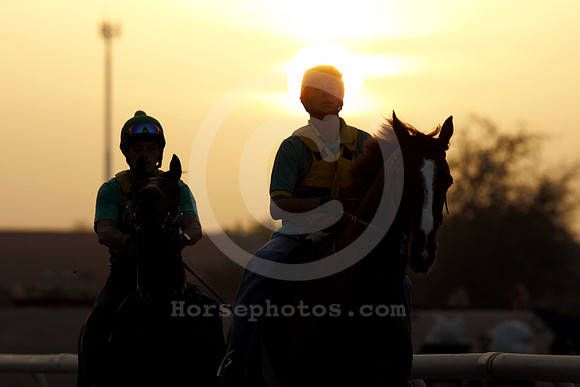 nadalsheba_sunrise07_fs