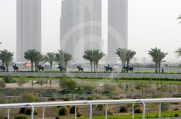 horses_alquoz02