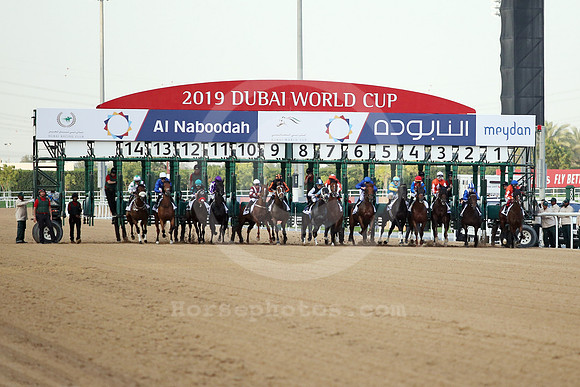 dubai_starting_gate168_fs