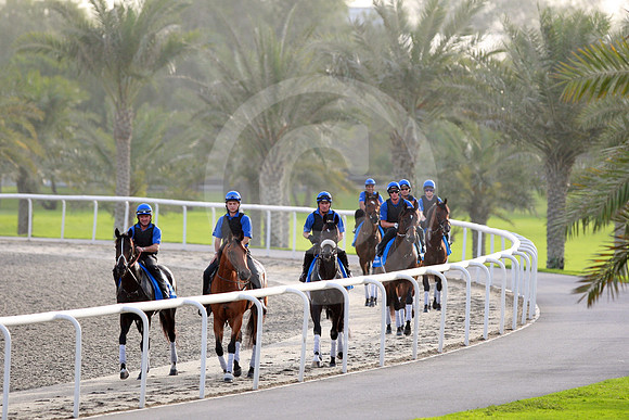 godolphin_horses37_fs
