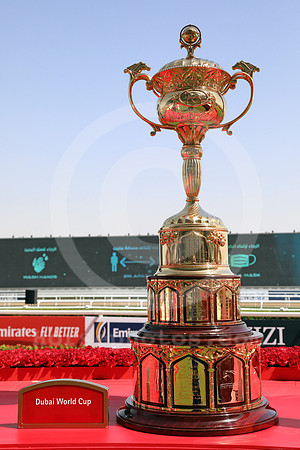 DWC_trophy100