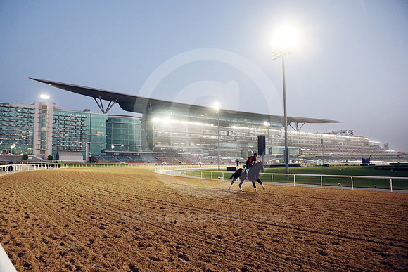 Meydan_grandstand194