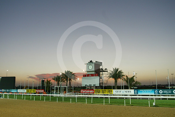 nadalsheba04_mjm