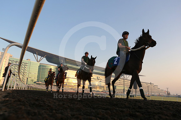 meydan_grandstand11_fs