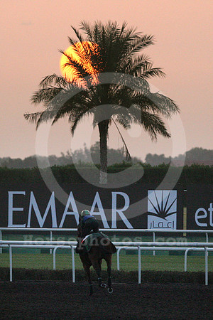dubai_morning_trackwork_14_fs