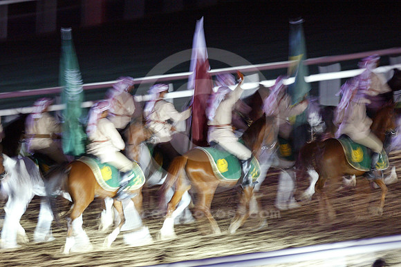 dubai_opening04_fs