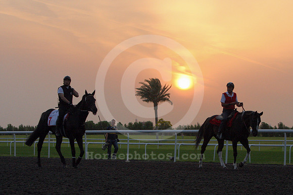 dubai_morning_trackwork04_fs