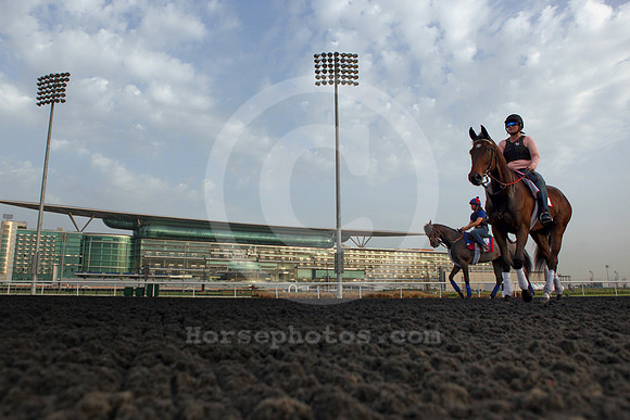 meydan_grandstand69_fs