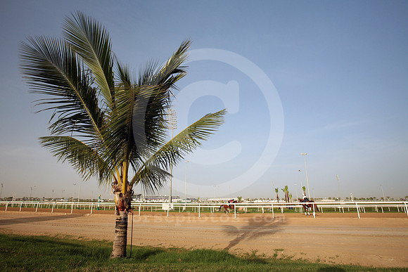 nadalsheba_workout14_fs