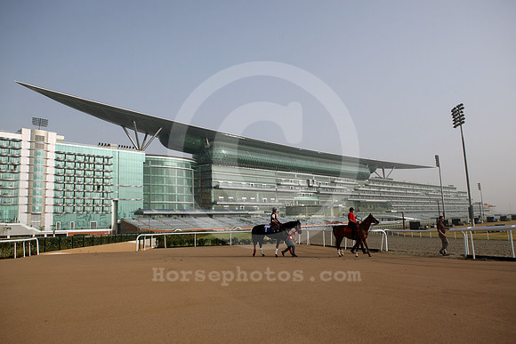 meydan_grandstand47_fs