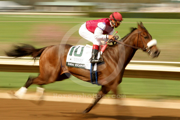 dubaiescapade2_mw