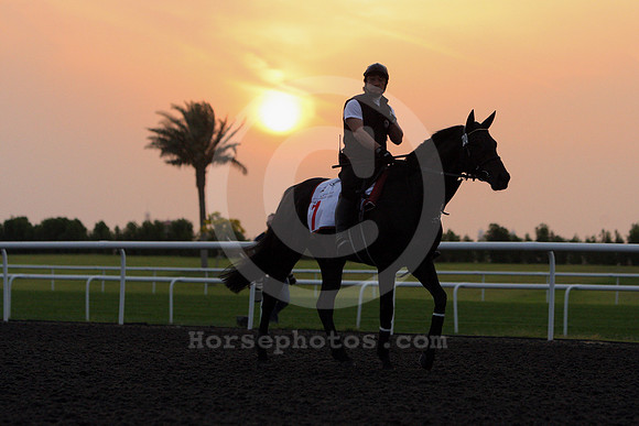 dubai_morning_trackwork06_fs
