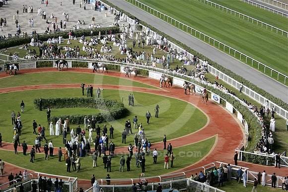 meydanracecouse41_nh