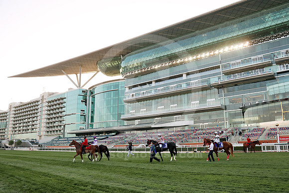 meydan_grandstand199