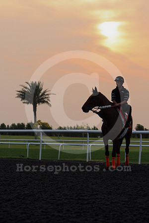 dubai_morning_trackwork09_fs