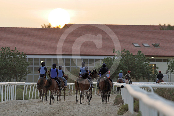 nadalsheba_workout06_fs