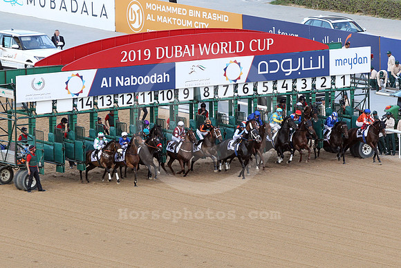 dubai_starting_gate167_fs