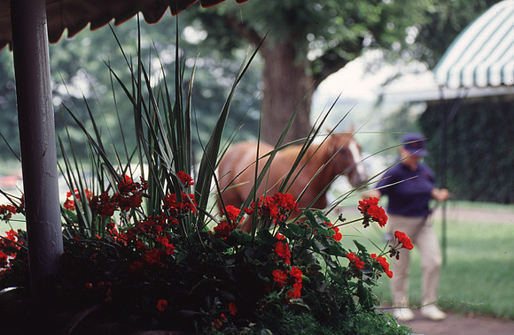 keenelandsales01_hr