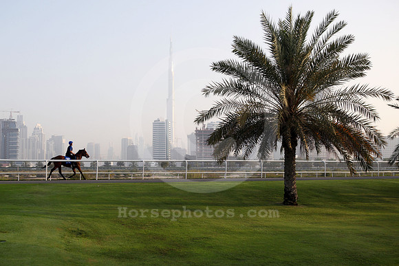 dubai_skyline_fibret18_fs