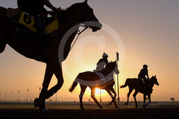 morningwork_sunrise02_fs