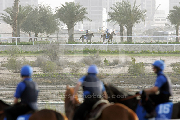 godolphin_horses34_fs