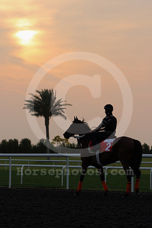 dubai_morning_trackwork12_fs