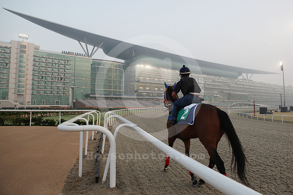 meydan_grandstand52_fs