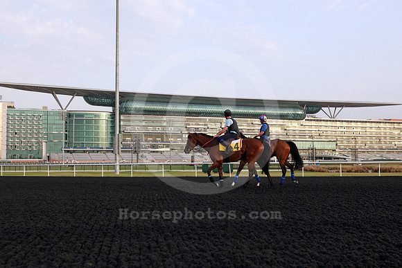 meydan_grandstand68_fs