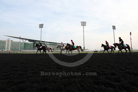 dubai_morning_trackwork02_fs