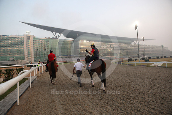 meydan_grandstand42_fs