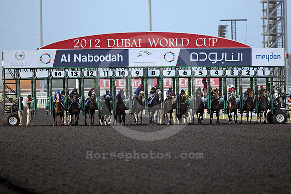 dubai_startingstalls02_fs