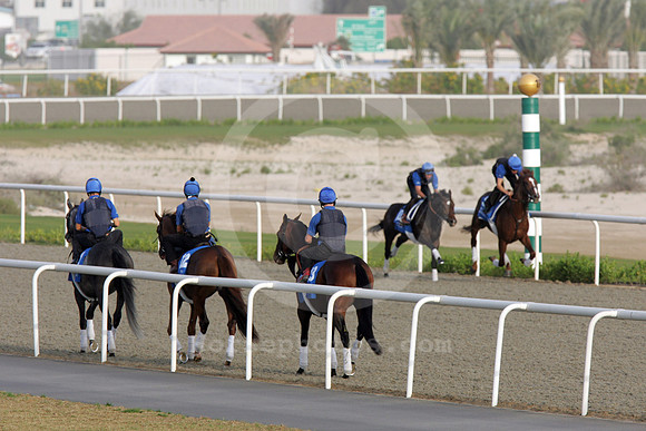 godolphin_horses33_fs