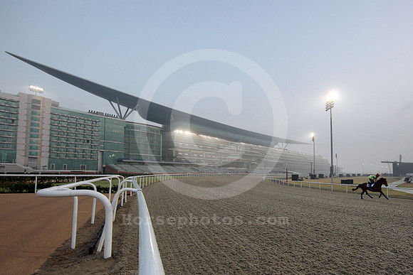 meydan_grandstand39_fs