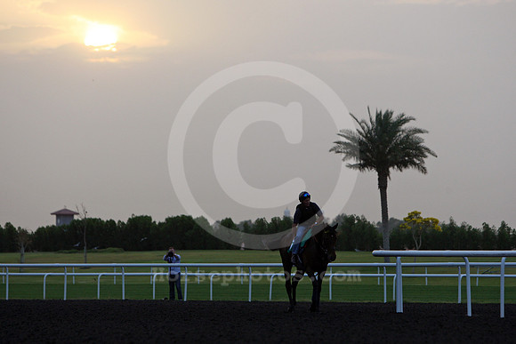 meydan_sunrise02_fs