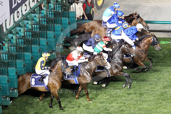 dubai_starting_gate231_fs