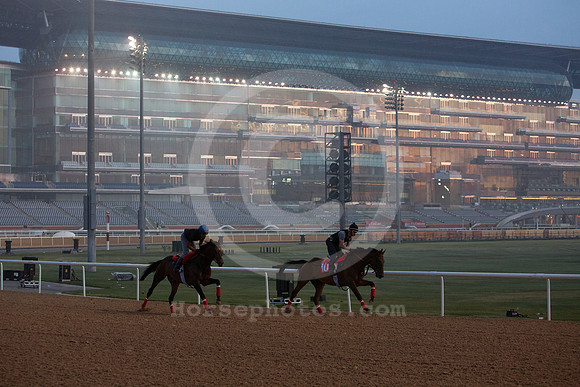 dubai_morning_trackwork45_fs