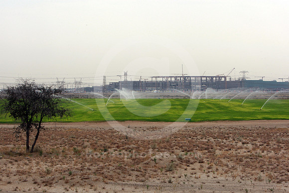 meydan_turf186_fs