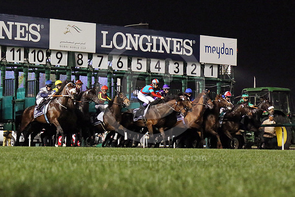 meydan_start01_fs