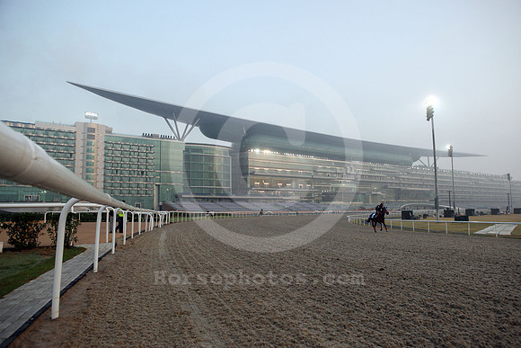 meydan_grandstand41_fs