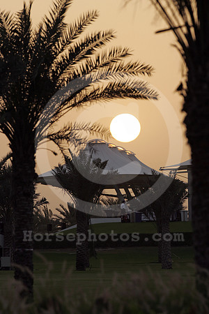 godolphin_alquoz27_fs