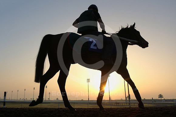 morningwork_sunrise03_fs