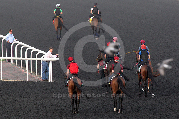 dubai_morning_workout05_fs